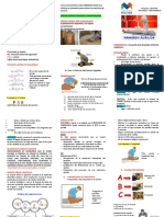 TRIPTICO 1eros Auxilios