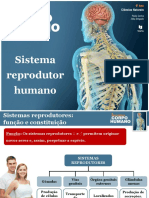 Sistema Reprodutor