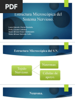 Estructura Microscópica Del Sistema Nervioso