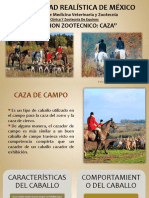 Caballo de Caza