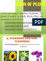 Classification of Plants