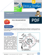 3ºaño Biología s7 Ciclo Celular