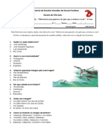 Gaivota e Gato Escolha Múltipla - Questão Aula