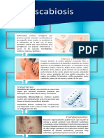 Escabiosis Infografia