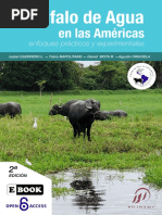 El Bufalo de Agua en Las Americas Low