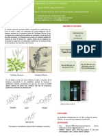 Determinacin de Triterpenos en Plantas Por Medio de