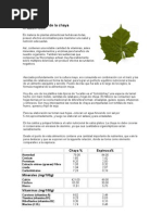 PDF Documento