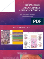 Dermatosis Inflamatoria Aguda y Crónica 2020