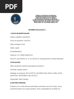 Informe Psicologico 2