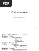 Chytridiomycota: Zoosporic Fungi