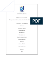 Obtenção Laboratorial de Amoníaco e Identifiçao Do Iao Amonia. GP. III