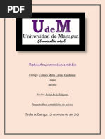 Proyecto Final Completo PDF