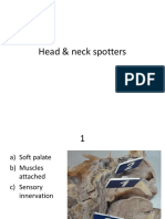 Anatomy Head&neck-Spotters