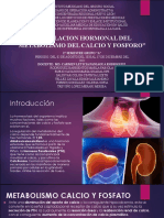 Regulacion Hormonal Del Calcio y El Fósforo Equipo 5