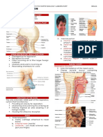 2 - Respiratory System