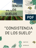 Presentacion de La Practica 5 - Consistencia