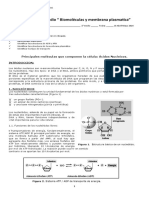 Biomoleculas 2