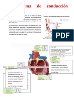 Sistema de Conduccion