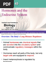 Hormones and The Endocrine System: Biology