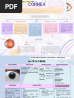 Microcornea