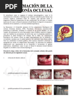 OCLUSION-Formación de La Armonía Oclusal