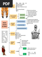 Cuadro Sinoptico Derecho