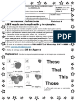 Demonstrative Pronouns