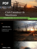 de Tesis Sobre Club Cannábico