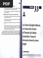 Tema 33