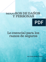 Seguros de Danos Personas para Web