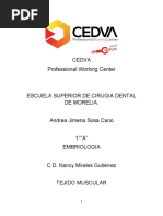 Cedva 14