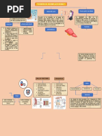 Terapia de Reemplazo Renal