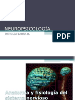 Neuropsicologia