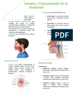 Clase 1 Alimentación y Deglución