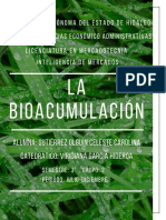 Qué Es La Bioacumulación