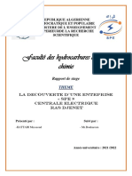 Rapport de Stage Central Electrique Cap Djanat