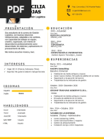 Curriculum Vitae Cecilia Rojas