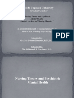 5 Nursing Theories in PMHN