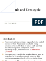 Ammonia and Urea Cycle