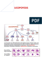 06 Leucopoyesis I