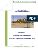 Rapport Final Audit Envir Rhourde Nouss Gaz