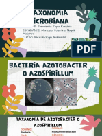 Marcelo Tolentino Nayeli - Azotobacter y Ideonella Sakaiensis