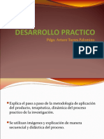 Desarrollo Practico de La Investigacion 2022