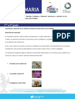 Actividades de Identidad y Ciudadanía de Venezuela