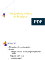 Bbc115 Slide Metabolisme Mineral