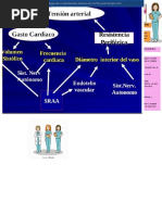 Mapa Conceptual Hipertension Arterial