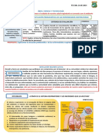 01 Explicamos La Situación Problemática de Las Enfermedades Respiratorias