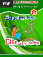 Actividad N° 05 La Planta y Su Reproducción