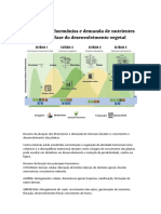 Resumo Da Atuação Dos Fitormônios e Demanda de Minerais Durante o Crescimento e Desenvolvimento Das Plantas