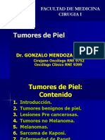 Tumores de La Piel